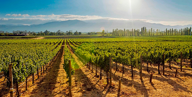 Pasajes a Mendoza con Chevallier