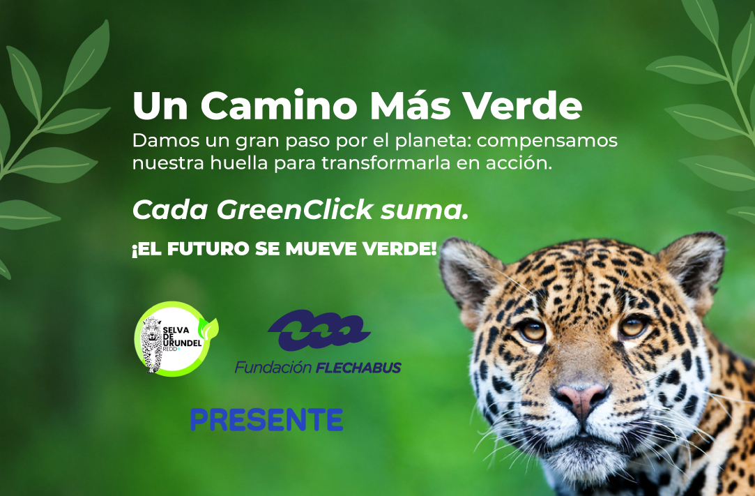 Descripción imagen móvil